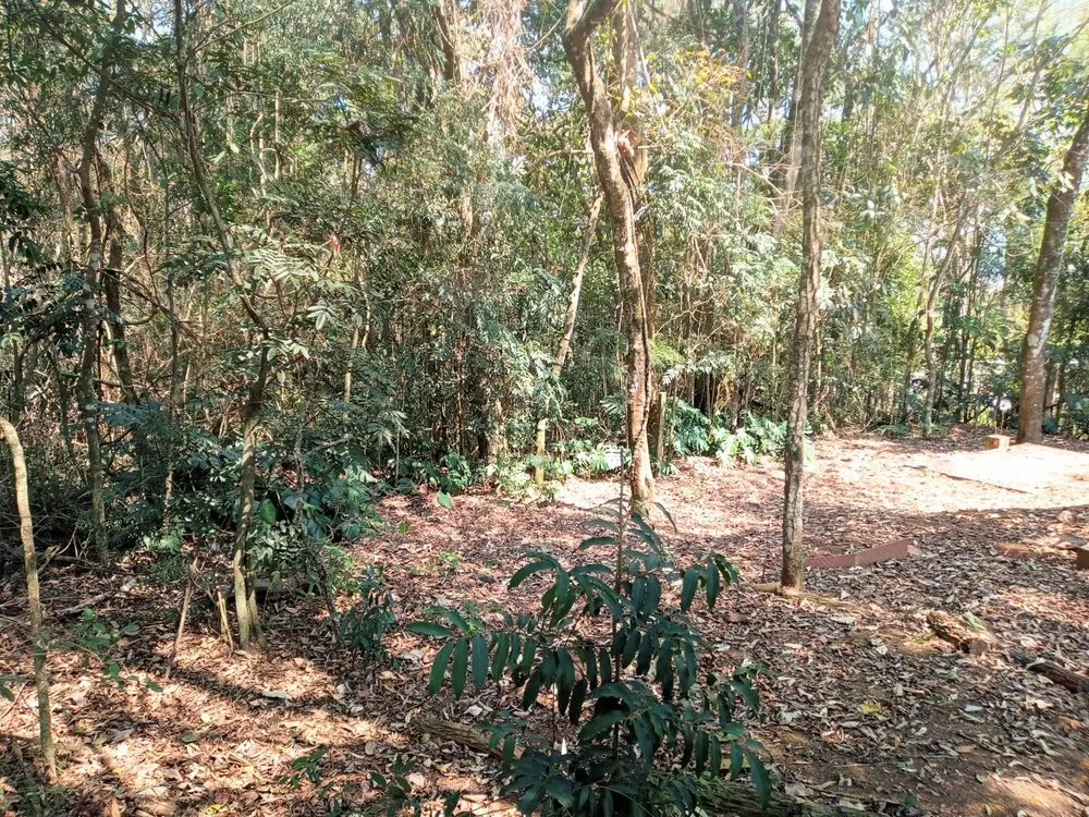 Loteamento e Condomínio, 3876 m² - Foto 7