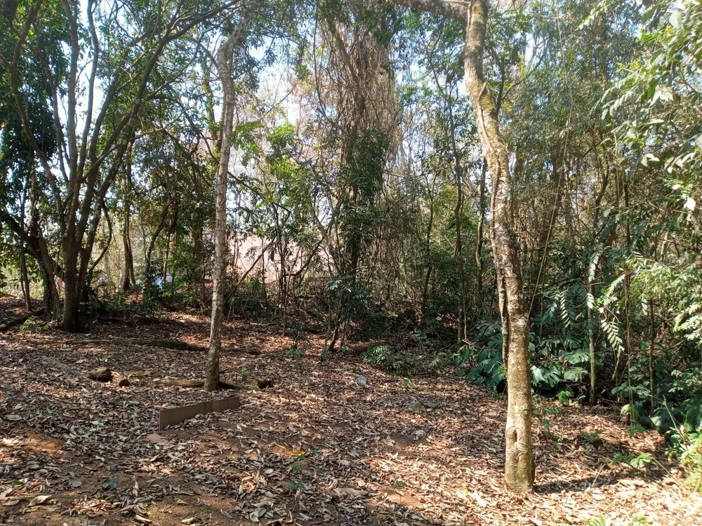 Loteamento e Condomínio, 3876 m² - Foto 6