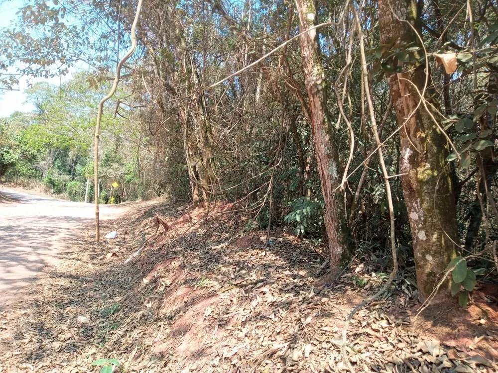 Loteamento e Condomínio, 3876 m² - Foto 4