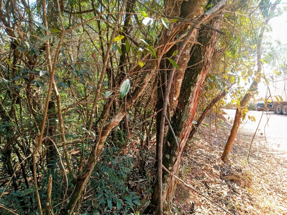 Loteamento e Condomínio, 3876 m² - Foto 8
