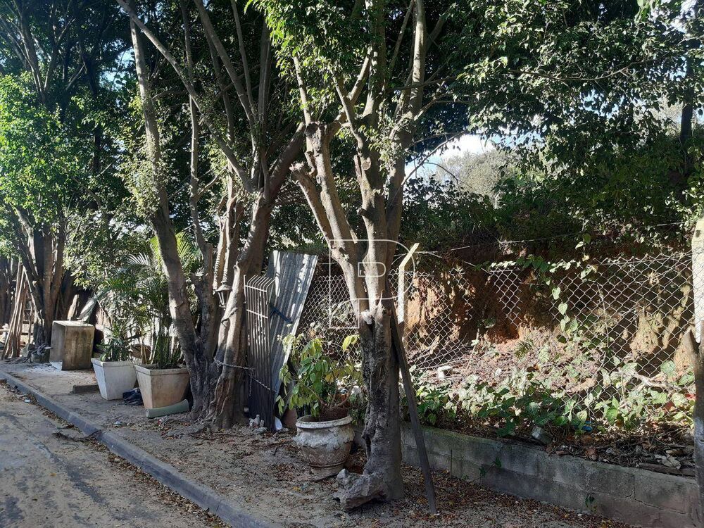 Terreno, 1987 m² - Foto 4