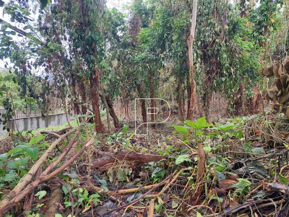 Loteamento e Condomínio, 2000 m² - Foto 3