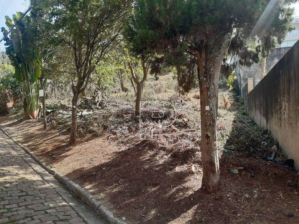 Loteamento e Condomínio, 600 m² - Foto 4