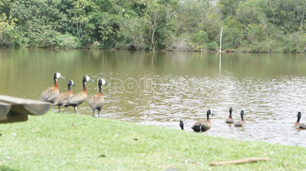 Loteamento e Condomínio, 600 m² - Foto 10