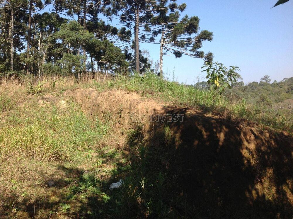 Terreno, 2072 m² - Foto 4