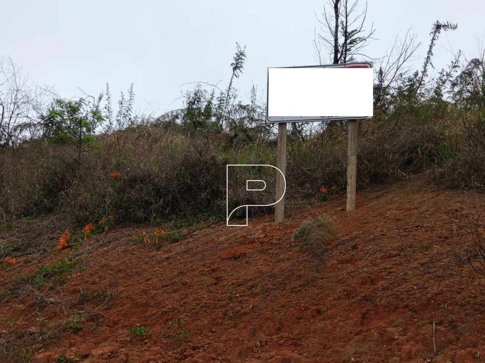 Terreno, 4 hectares - Foto 4