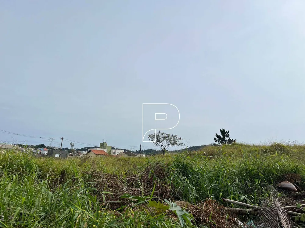 Terreno, 7948 m² - Foto 10