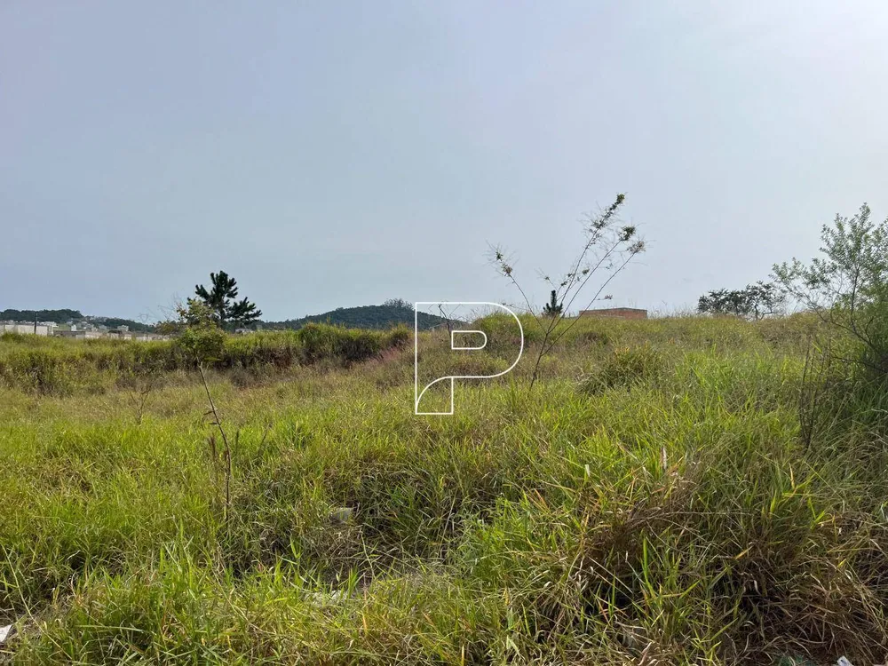 Terreno, 7948 m² - Foto 7