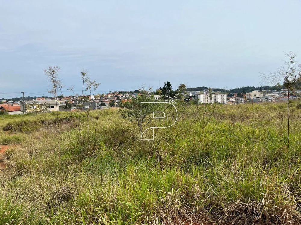 Terreno, 7948 m² - Foto 3