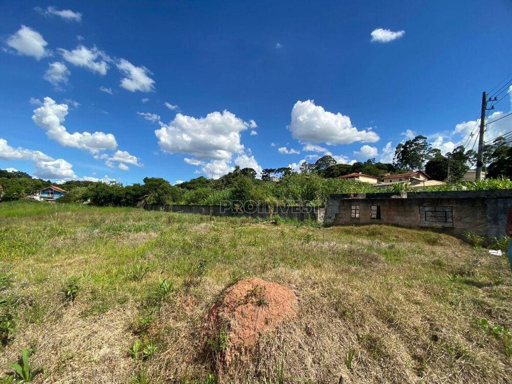 Terreno, 4814 m² - Foto 3