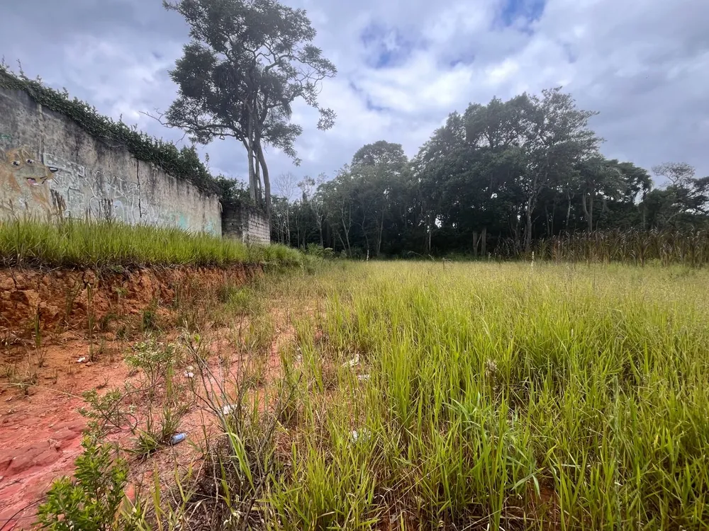 Terreno, 1 hectares - Foto 4