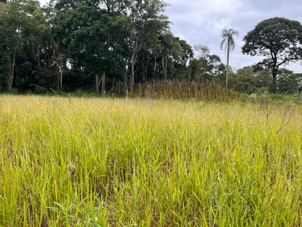 Terreno, 1 hectares - Foto 6
