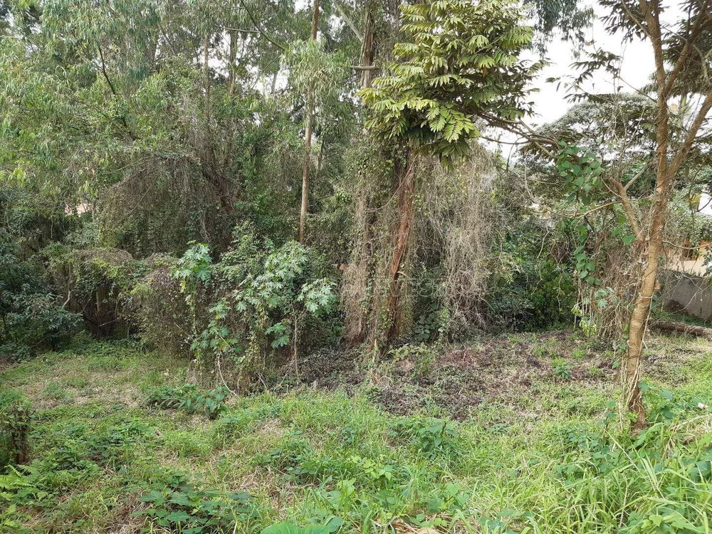 Loteamento e Condomínio, 2085 m² - Foto 3