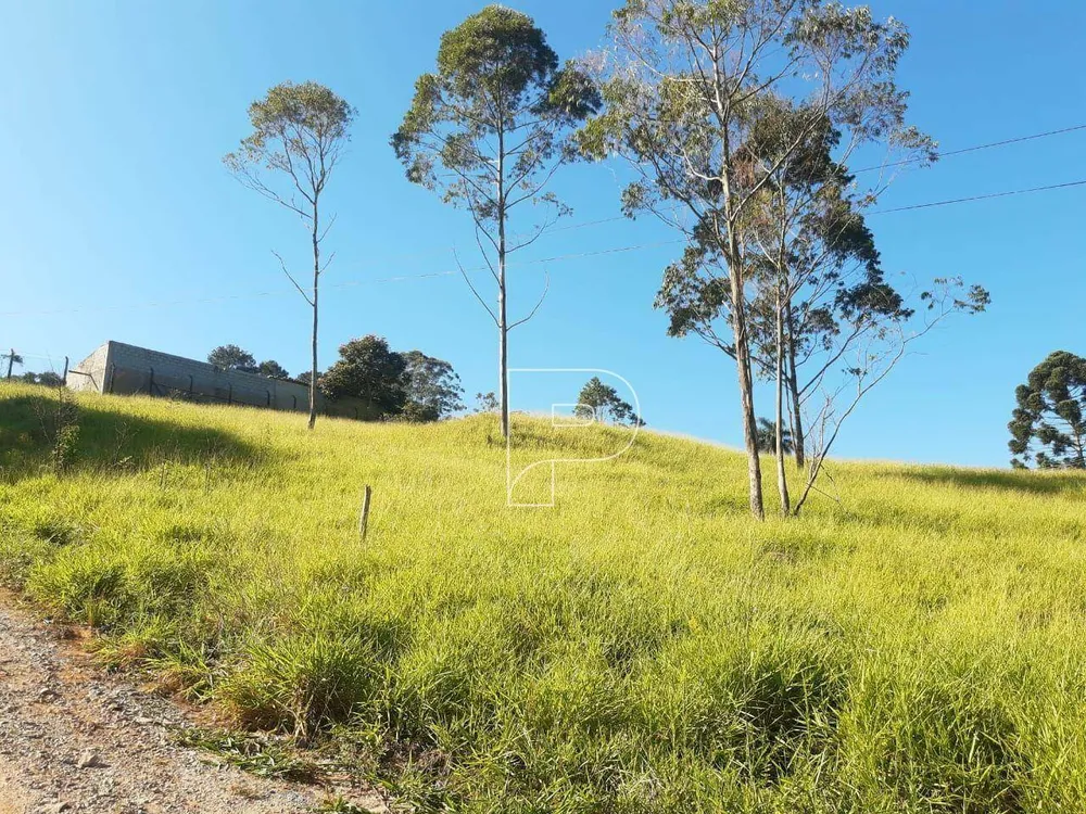 Terreno, 4010 m² - Foto 6
