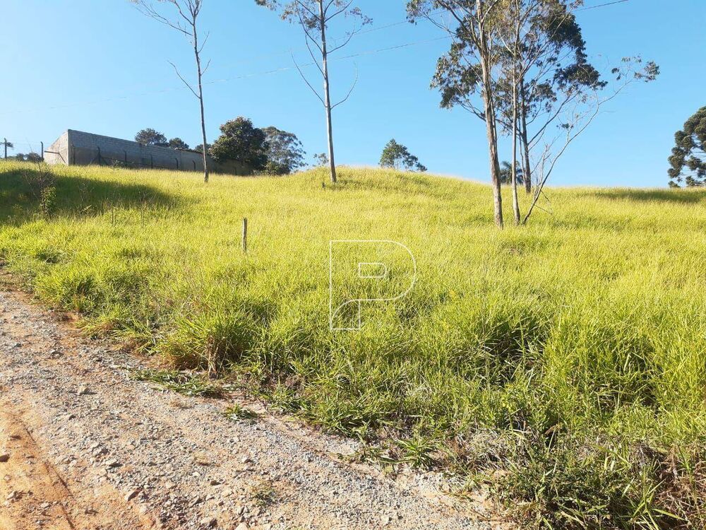 Terreno, 4010 m² - Foto 4