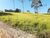 Terreno, 4010 m² - Foto 4