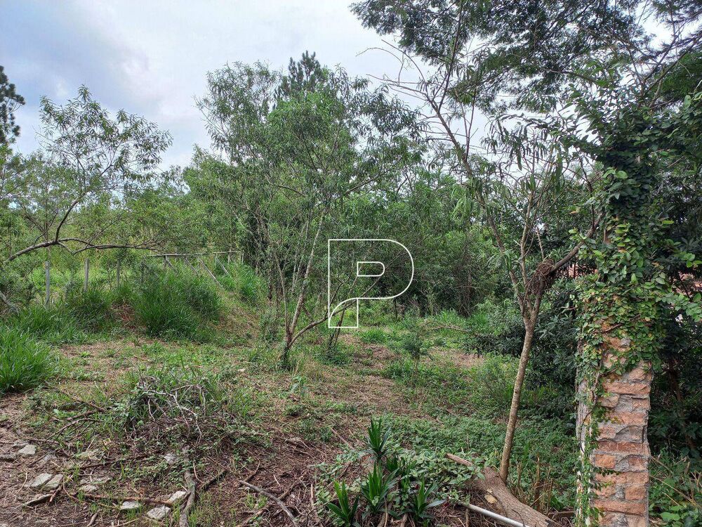 Terreno, 6000 m² - Foto 5
