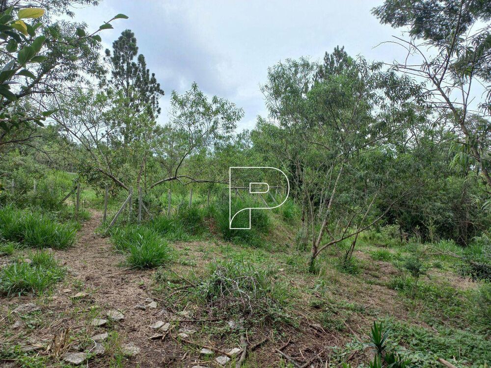 Terreno, 6000 m² - Foto 1