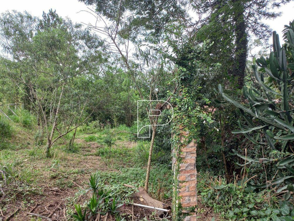 Terreno, 6000 m² - Foto 2