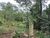 Terreno, 6000 m² - Foto 3