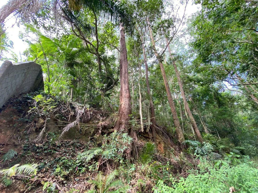 Loteamento e Condomínio, 5660 m² - Foto 8