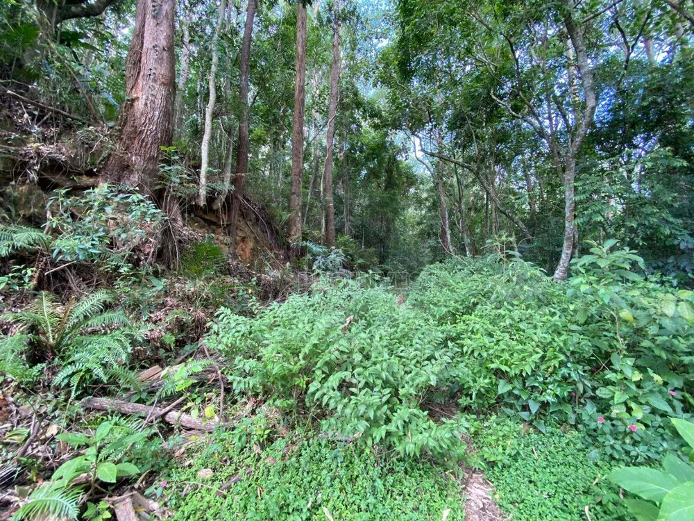 Loteamento e Condomínio, 5660 m² - Foto 6