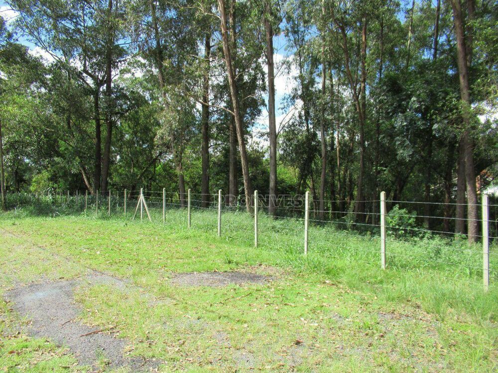 Terreno, 2000 m² - Foto 3