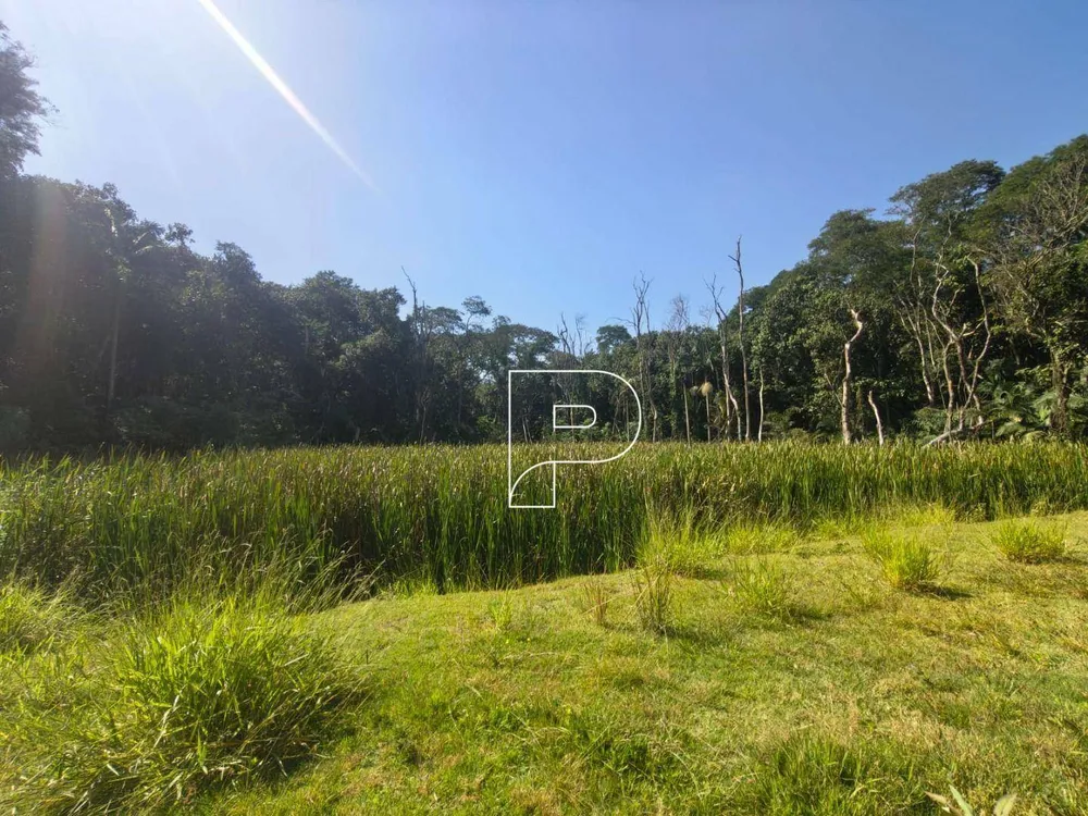 Terreno, 3 hectares - Foto 4