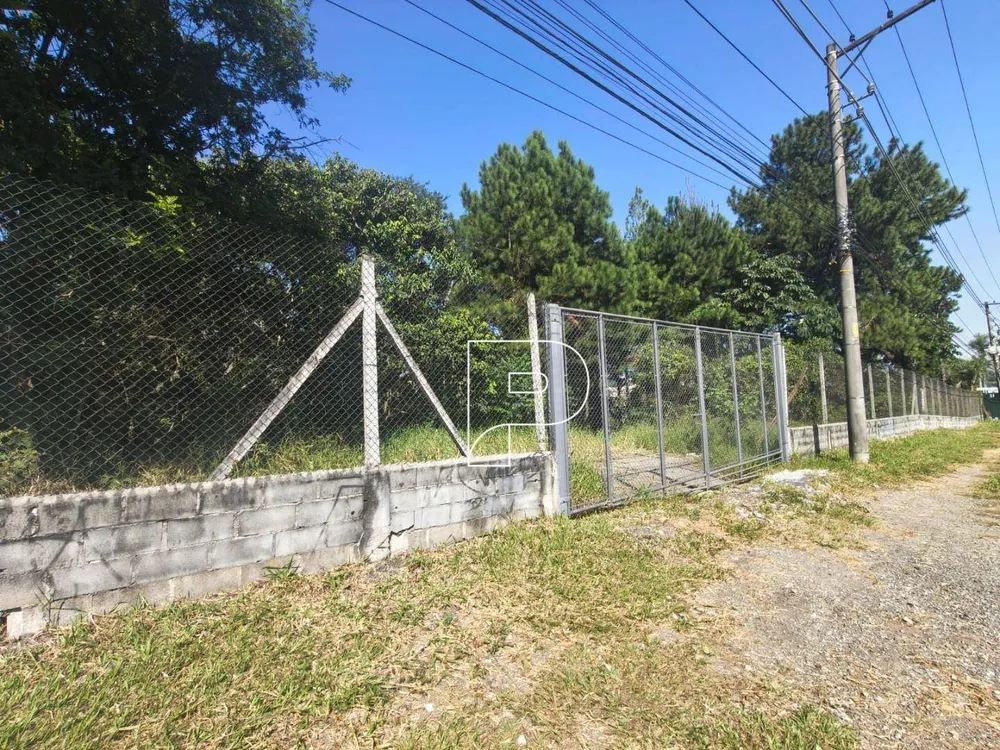 Terreno, 3 hectares - Foto 11