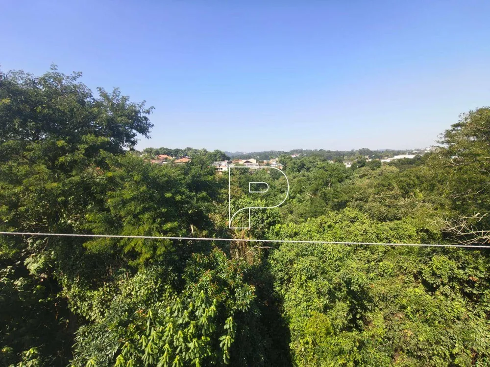 Terreno, 3 hectares - Foto 12