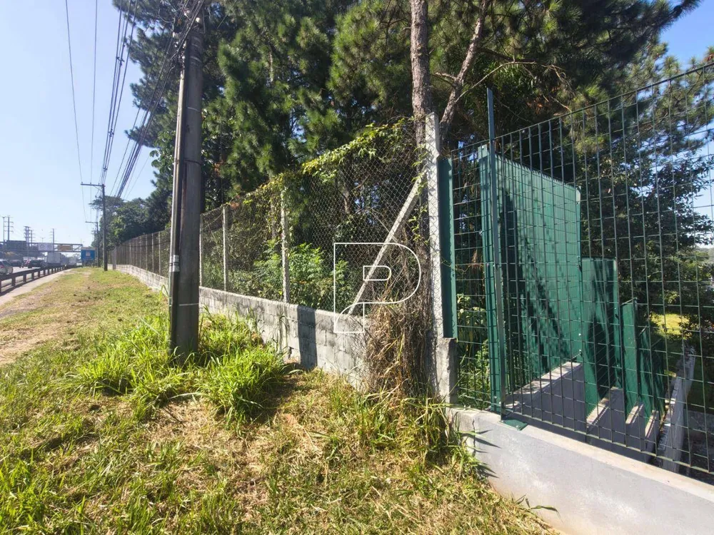 Terreno, 3 hectares - Foto 9