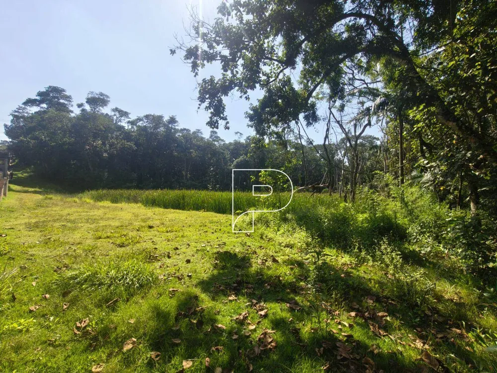 Terreno, 3 hectares - Foto 3