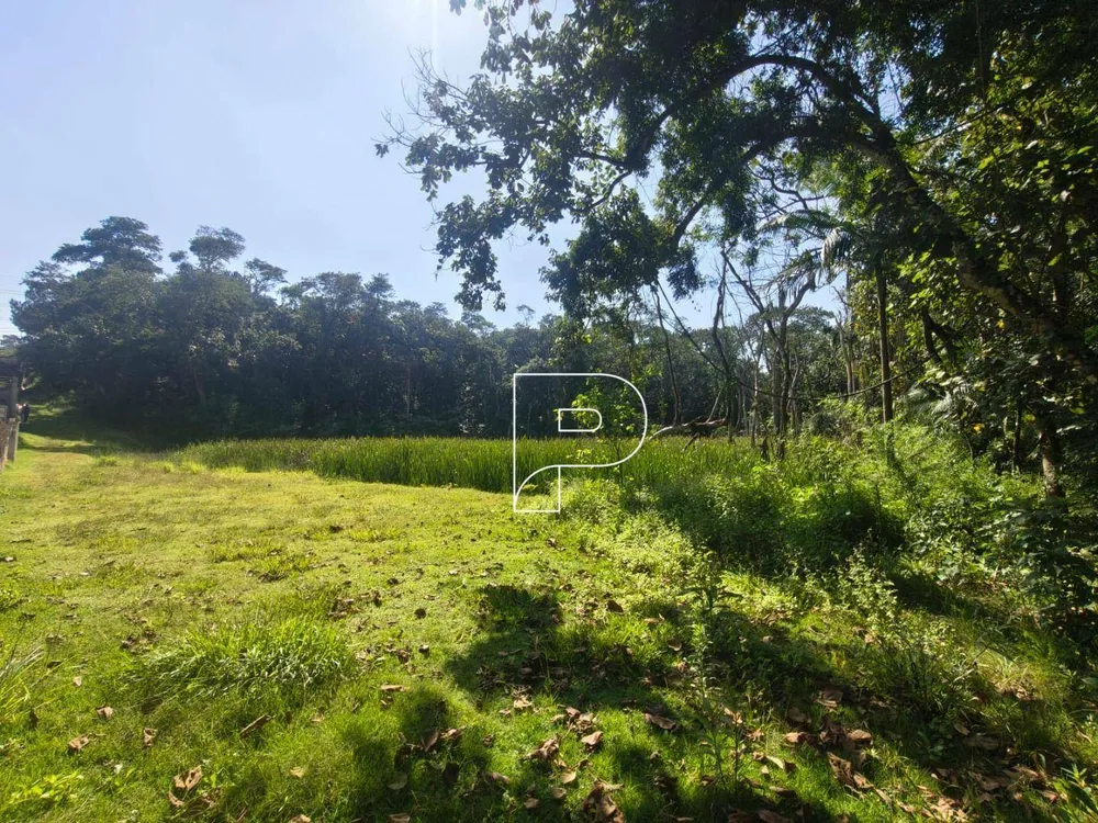 Terreno, 3 hectares - Foto 2