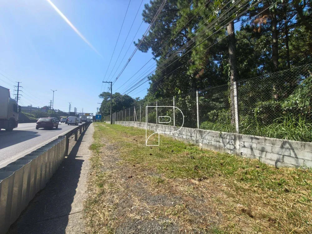 Terreno, 3 hectares - Foto 10