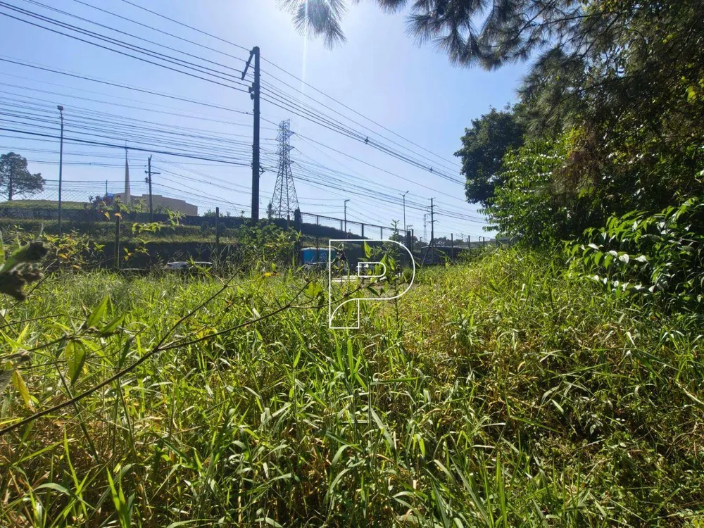Terreno, 3 hectares - Foto 8