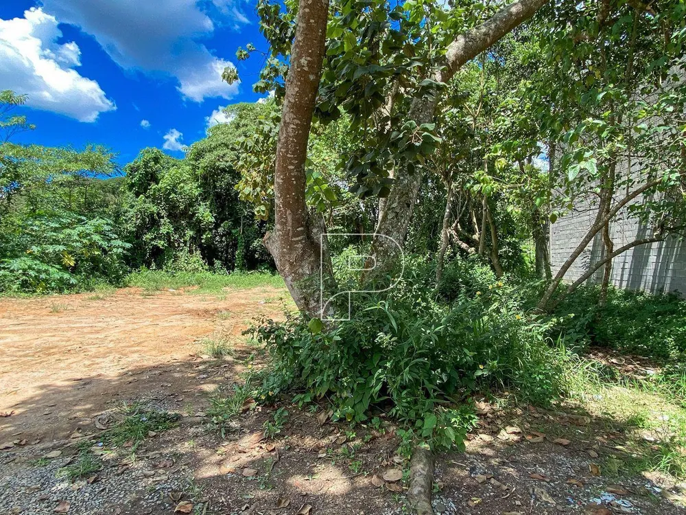 Terreno, 312 m² - Foto 6