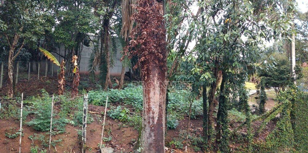 Loteamento e Condomínio à venda, 520M2 - Foto 5