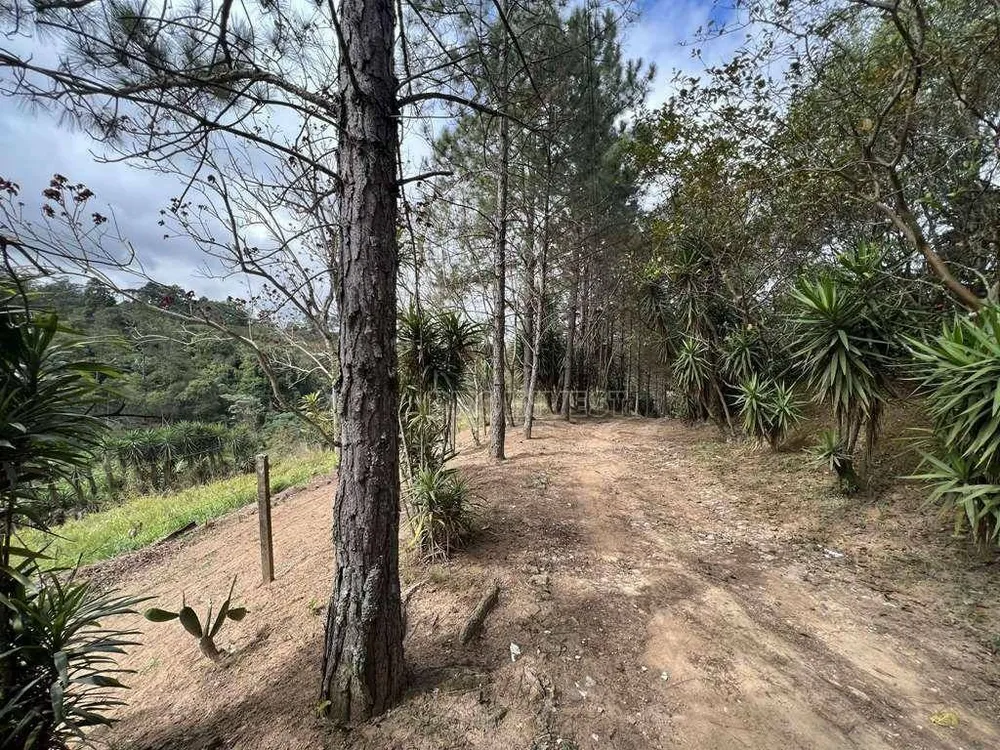 Terreno, 2 hectares - Foto 4