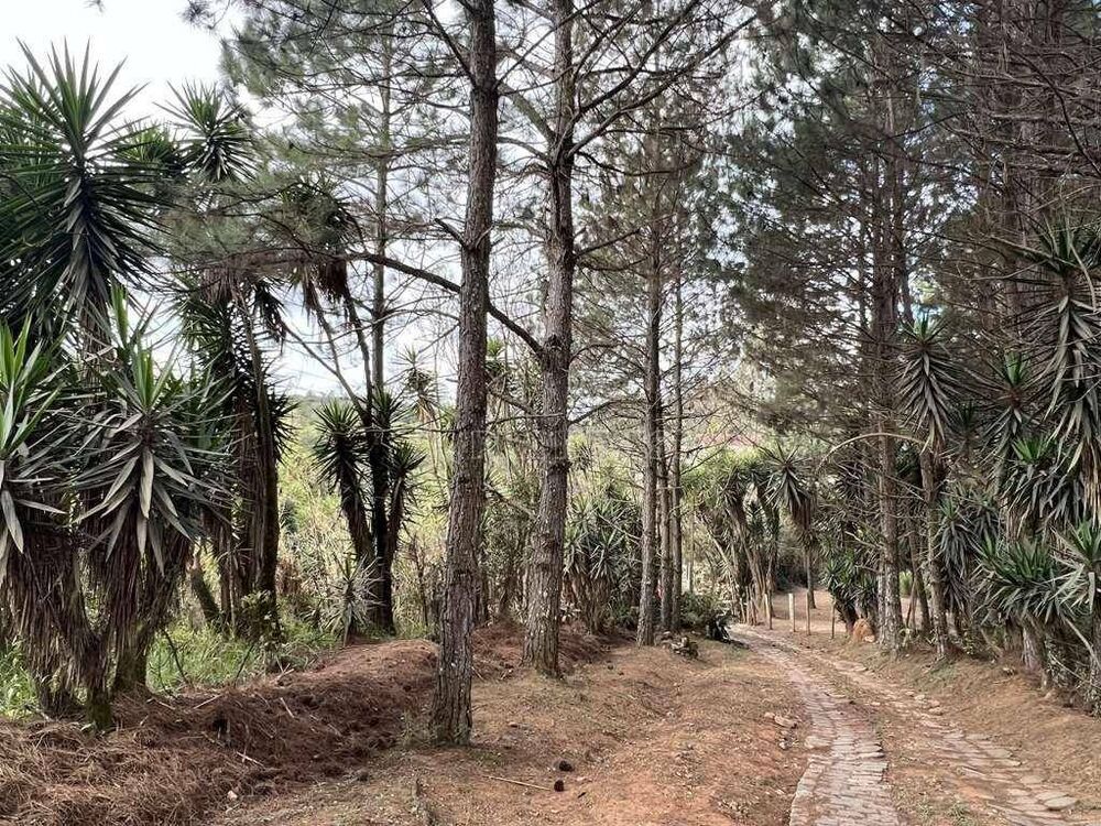 Terreno, 2 hectares - Foto 3