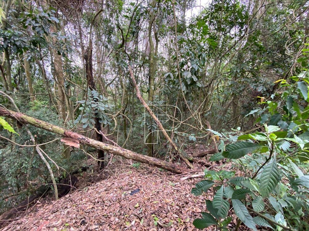 Loteamento e Condomínio, 1143 m² - Foto 6