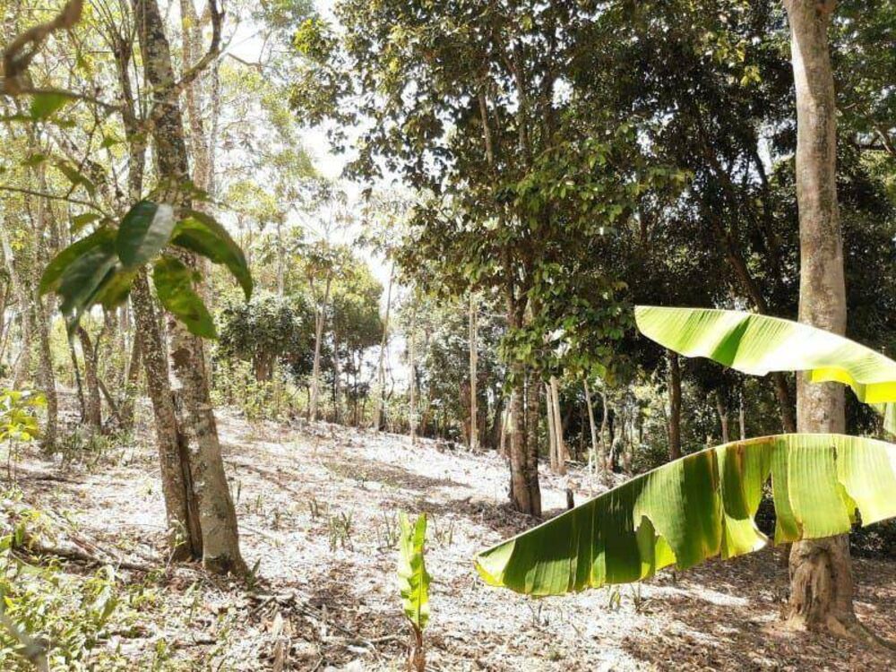 Terreno, 1 hectares - Foto 5