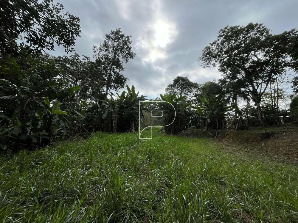 Terreno, 1 hectares - Foto 7