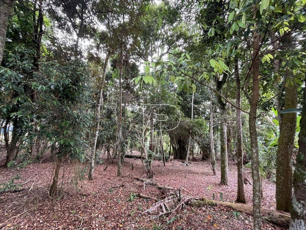 Terreno, 1 hectares - Foto 6