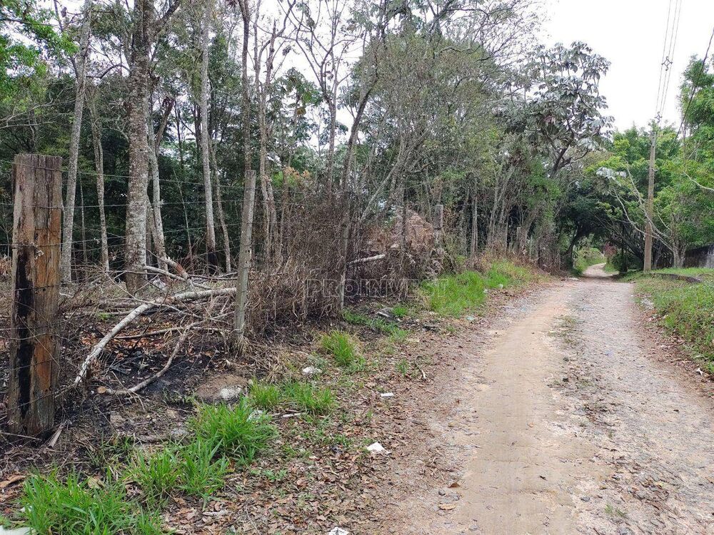 Terreno, 1 hectares - Foto 4