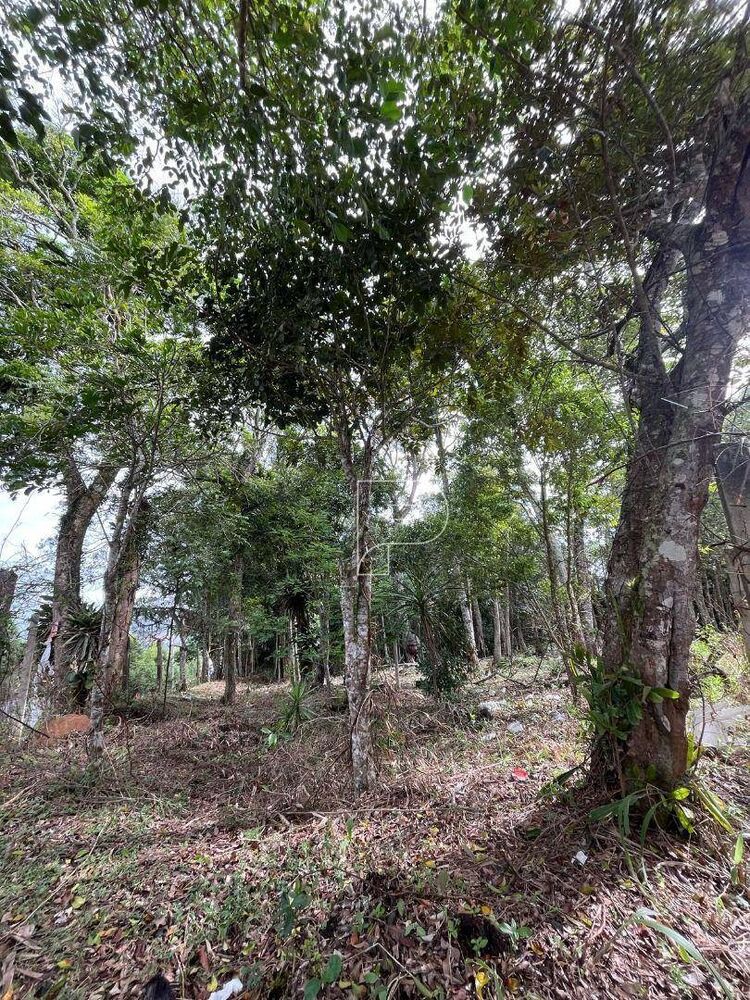 Terreno, 1 hectares - Foto 7