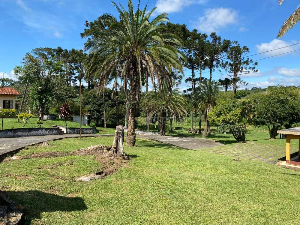 Terreno, 3269 m² - Foto 4