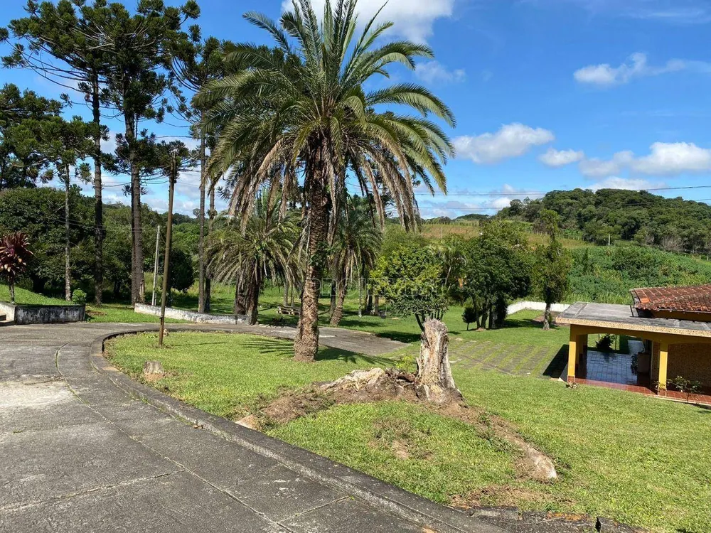 Terreno, 3269 m² - Foto 5