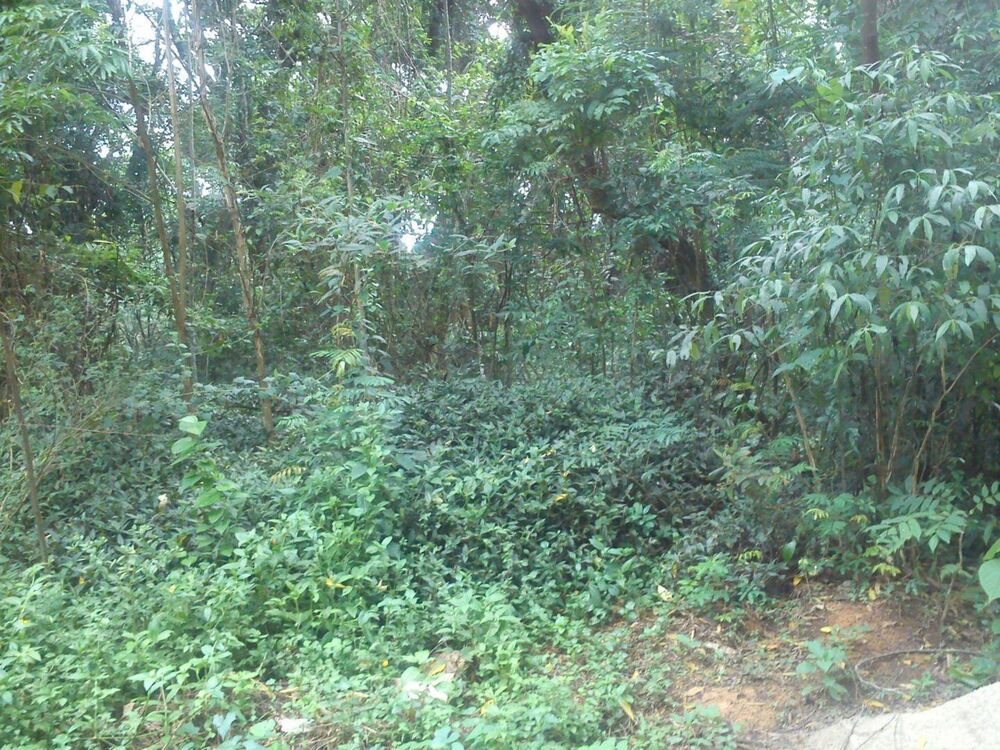 Loteamento e Condomínio, 1681 m² - Foto 2
