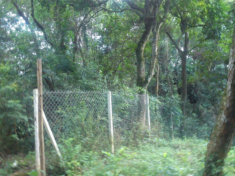 Loteamento e Condomínio, 1681 m² - Foto 3