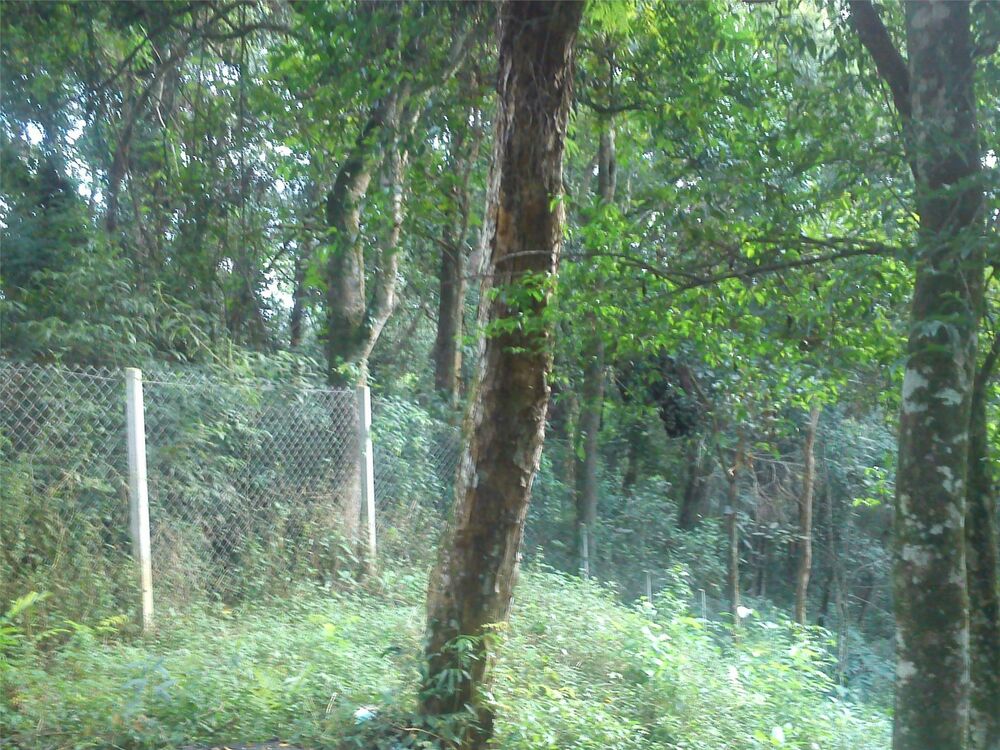 Loteamento e Condomínio, 1681 m² - Foto 5